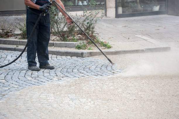 Animal Enclosure Cleaning in East Marion, NY